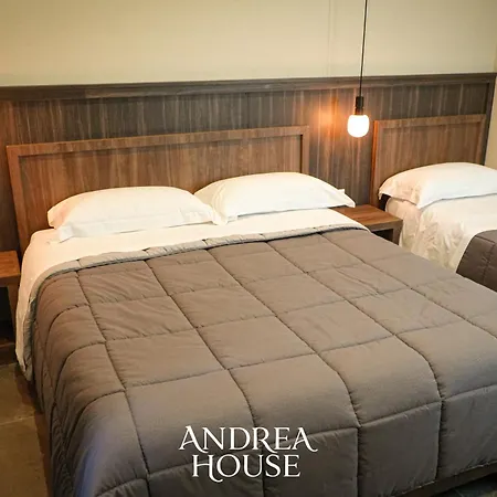 Andrea House
