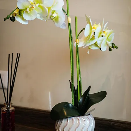 Affittacamere Andrea House 4*